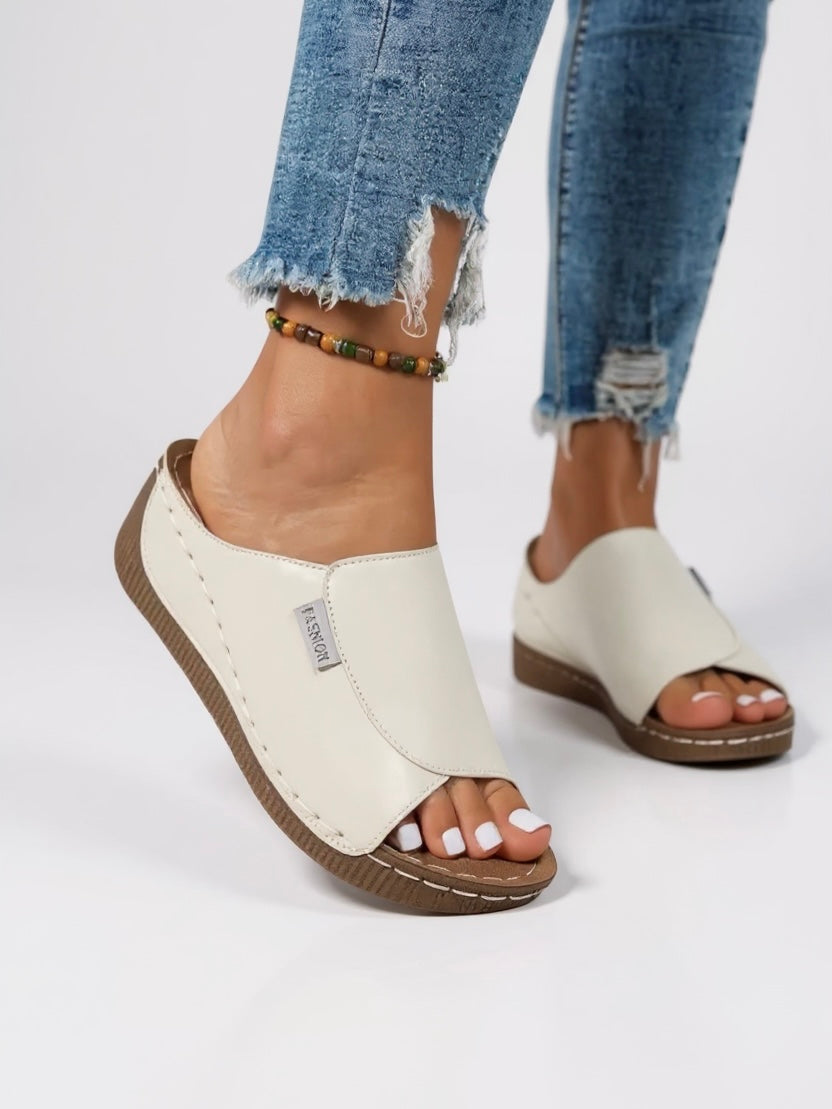 Ayla Platform Slides