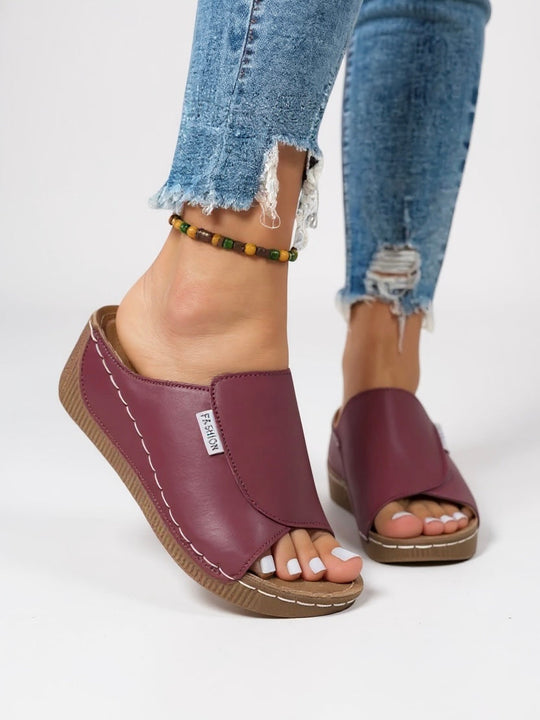 Ayla Platform Slides