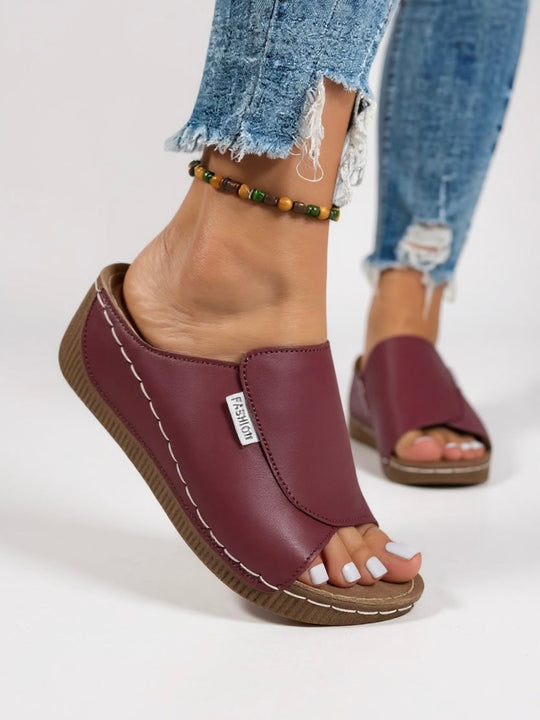 Ayla Platform Slides