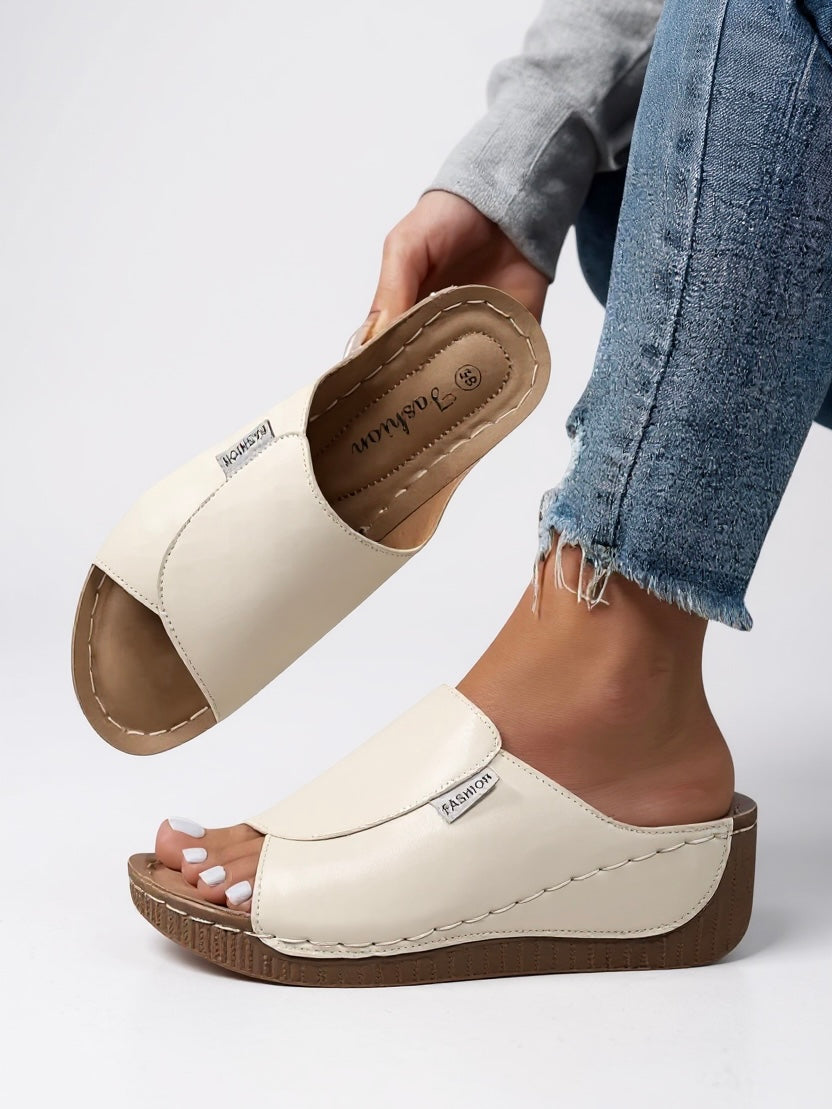 Ayla Platform Slides