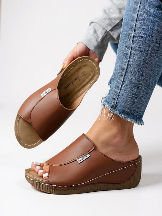 Ayla Platform Slides