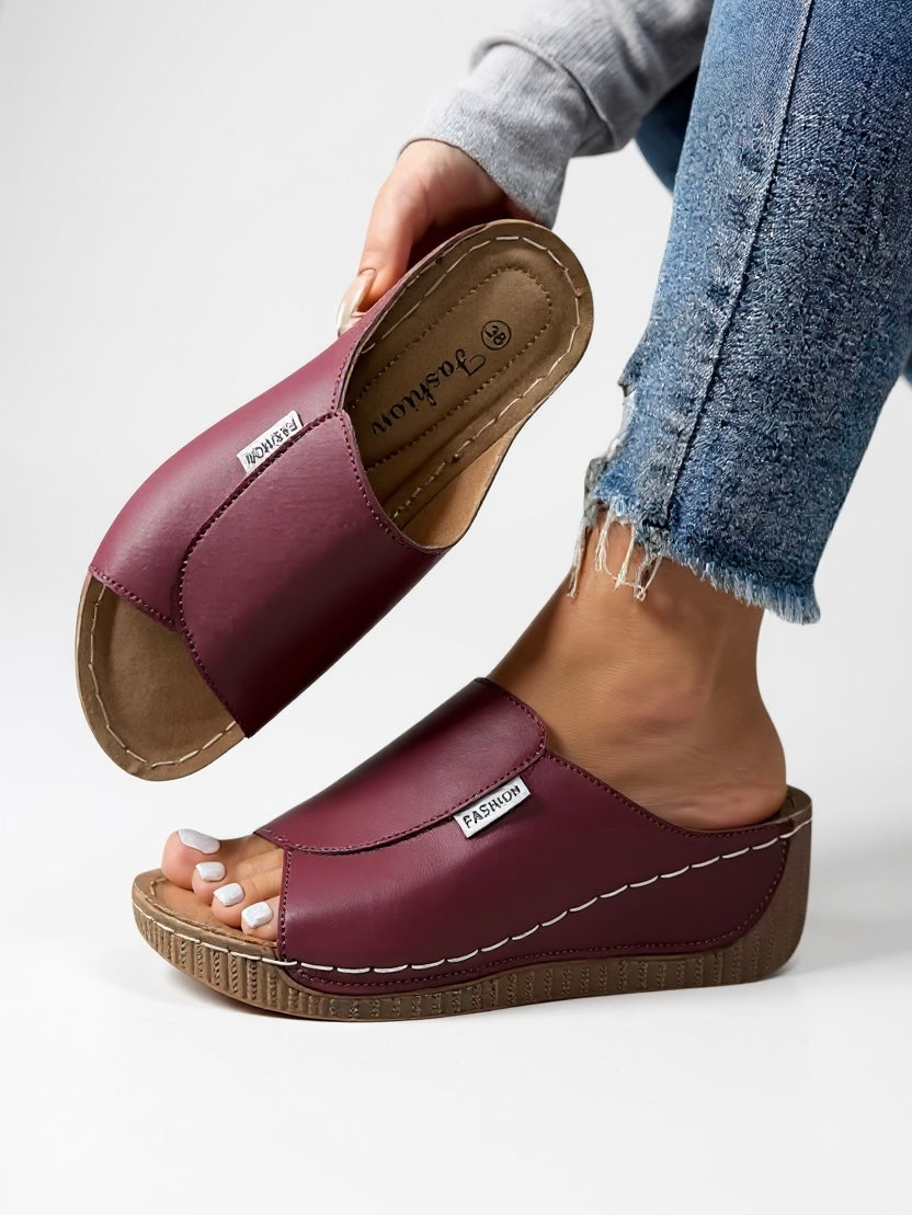 Ayla Platform Slides