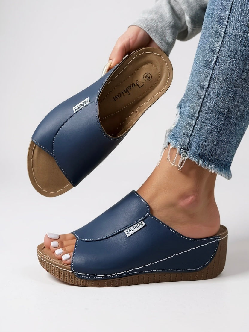 Ayla Platform Slides