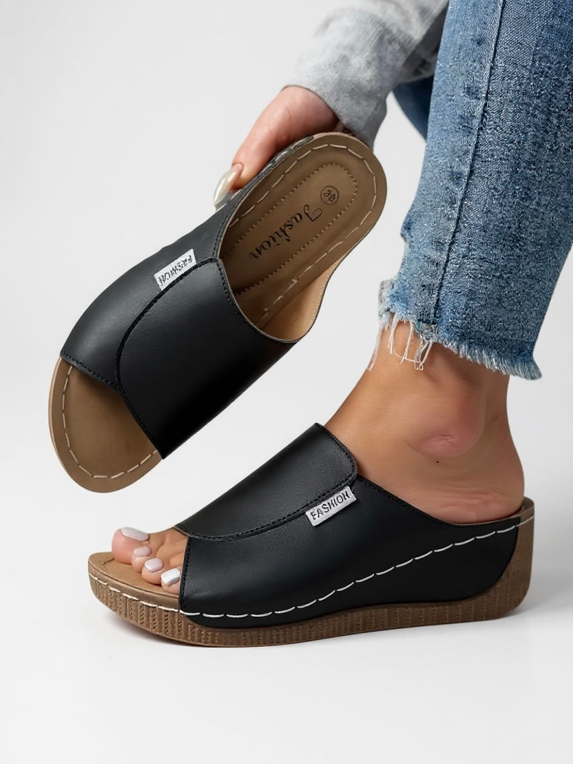 Ayla Platform Slides