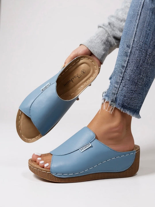 Ayla Platform Slides