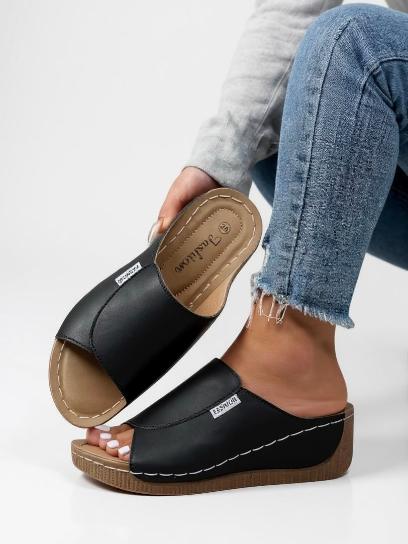 Ayla Platform Slides